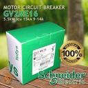 Schneider Motor Circuit Breaker GV2ME16