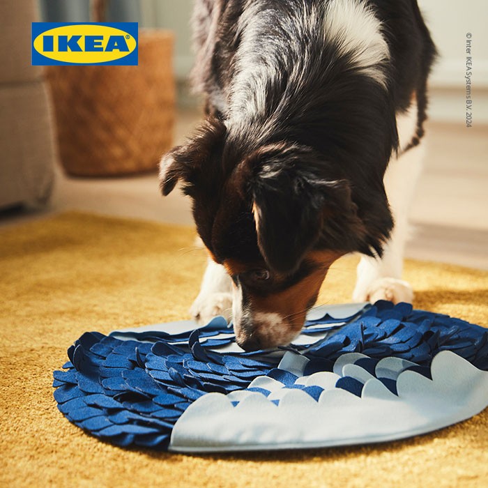IKEA UTSADD Karpet Endus Untuk Anjing