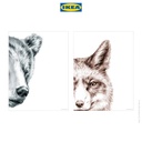 IKEA BILD Poster Gambar Beruang dan Rubah 30x40cm Isi 2pcs