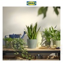 IKEA SOJABONA Pot Tanaman Abu-abu/Hijau 9cm