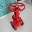 Gate Valve Fire Hydrant ANSI 6" / 6 Inch UL/FM