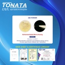 Automatic Thermatic Pemadam Api Otomatis / ABC Powder 12 kg Tonata