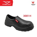3001 H - Cheetah - Revolution - Safety Shoes