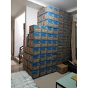 Lakban DAIMARU Bening (48mm x 90Yd)