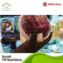 Hand Gloves / Sarung Tangan BESTAFT TPE isi 100Pcs