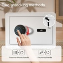 Deli Safe Brankas Digital ET540 & ET541 High End Home Use