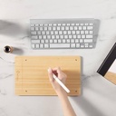 Viewsonic Woodpad 10 PF1030-E0CNNA5 Preasure Level 4096