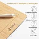 Viewsonic Woodpad 10 PF1030-E0CNNA5 Preasure Level 4096