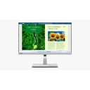 Lenovo Monitor L24m-40 23.8" IPS 100Hz
