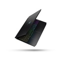 Acer Predator Triton 300 PT315-51-740T [NH.Q6DSN.002]