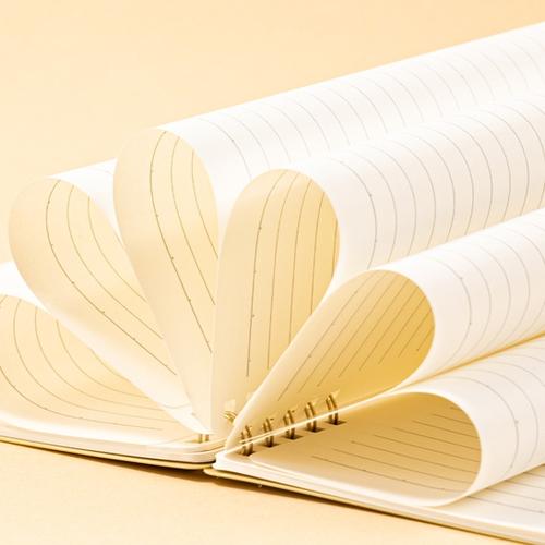 Deli Buku Catatan Spiral / Spiral Notebook B5 GLPB550