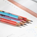 Deli Graphite Pencil / Pensil Kayu 2B Edisi One Piece 12Pcs/Box EC021