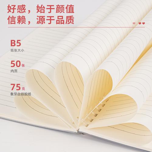 Deli Loose-Leaf Notebook Binder Buku Catatan 50 Lembar A5 B5 2450X
