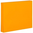 Deli EA02402 Memo tempel - Sticky Notes 76×101mm 3''×4'' 100 sheet