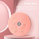 Agnite Twist Board / Magnetic Trimmer / Jogging Body Plate ER090