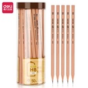 Deli Graphite Pencil / Pensil Kayu HB Isi 50 Nyaman Digenggam S908