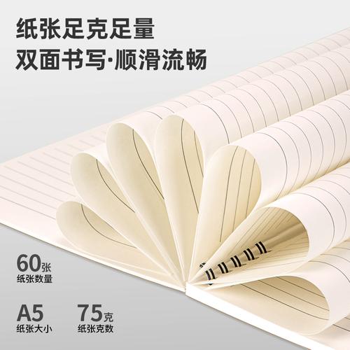 Nusign Notebook / Buku Catatan Spiral A5/B5 60Lmbr Desain Simpel NS29X