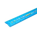 Deli E38014 Penggaris-Printed EcoPVC Flexible Ruler 20cm -Blue
