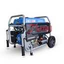 Genset Open Bensin 3000 3500 Watt Gas LPG & Bensin Tsuzumi TG 5000 DF