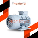 Dinamo Motor Montoya 2 Hp 1 Phase