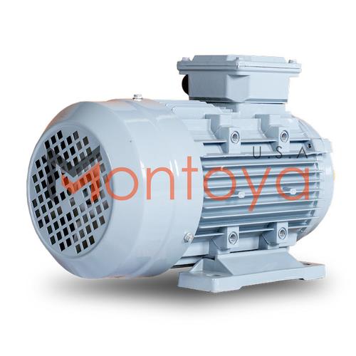 Dinamo Motor Montoya 2 Hp 1 Phase