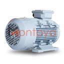 Dinamo Motor Montoya 2 Hp 1 Phase