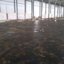 DUTEC Flinkote J-218 / Primer Membrane Waterproofing 20kg - 100m2