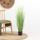 Informa 64X110 cm Tanaman Buatan Bristlegrass G37 - Hijau Tumbuhan Tanaman Buatan Dekorasi Plant Sintetis Pajangan Rumah Serbaguna Hiasan Properti Foto