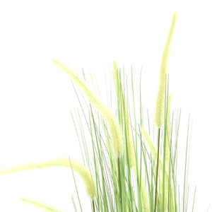 Informa 64X110 cm Tanaman Buatan Bristlegrass G37 - Hijau Tumbuhan Tanaman Buatan Dekorasi Plant Sintetis Pajangan Rumah Serbaguna Hiasan Properti Foto