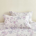 Informa 160X200 cm Set 7 Pcs Seprai Queen Katun Kelsie Sprei Seprai Aesthetic Seprei Sheet Set Bed Sheet Aksesoris Tempat Tidur Set Sarung Bantal Sarung Guling