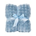 Informa 150X200 cm Selimut Polyester Willow - Biru Misty Blanket Kain Penghangat Tubuh Aksesoris Tempat Tidur Bedroom Accessories Perlengkapan Kamar Tidur