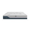 Informa Sleep Colden Memogel Kasur Roll Packed Mattress Memory Foam Matras Medium Firm Kasur Tidur King Perlengkapan Kamar Tidur