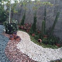 Batu Koral Putih, uk. sedang (1 Karung : -/+10 kg) 