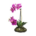 AZKO Arthome 34 Cm Bunga Artifisial Orchid Soil - Putih