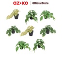 AZKO Forhom Tanaman Artifisial Mta Leaves Dengan Pot Random Tumbuhan Tanaman Buatan Dekorasi Plant Sintetis Pajangan Rumah Serbaguna Hiasan Properti Foto