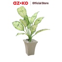 AZKO Forhom 43.2 cm Tanaman Artifisial Silver Aglaonema Dengan Pot - Hijau Tumbuhan Tanaman Buatan Dekorasi Plant Sintetis Pajangan Rumah Serbaguna Hiasan Properti Foto