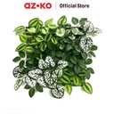 AZKO Cc Grass 33x33 Cm Tanaman Dinding Buatan Rose & Berry Mix