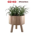 AZKO Arthome Tanaman Artifisial Airplant In Shaw Tripot