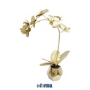 Informa Tanaman Artifisial Orchid Pf1002 - Gold Tumbuhan Tanaman Buatan Dekorasi Plant Sintetis Pajangan Rumah Serbaguna Hiasan Properti Foto