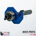 Mata Profil 1/4 x 3mm - AST - Slotting Bit 0.25 Inchi