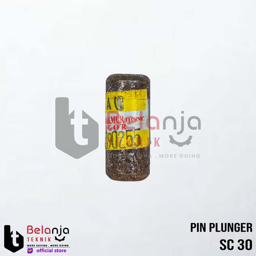 Sanchin Pin Piston SC 30 SCN 30 Pin Plunger SC30 SCN30 Pen Piston