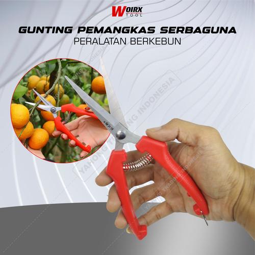 Gunting Pruning Buah Bonsai Dahan Daun Bunga Kertas Seng Sebaguna