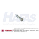 Desk Screw / Lag Screw UCP 3/16 x 2" (putih)