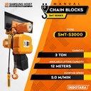 Electric Chain Hoist Samsung With Trolley Series SMT-S3000 x 12 M