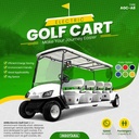 Mobil Golf Listrik / Electric Golf Cart Altifa - AGC A8