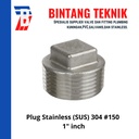 Plug 1" inch Stainless 304 #150