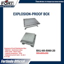 Explosion-Proof Distribution Box BXJ-60-5672-32 Merk FORT