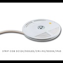 Lampu LED Strip/COB/DC12V/IP65 OUTDOOR