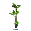 Informa Tanaman Artifisial Ly13 20 X 20 X 160cm - Hijau Tumbuhan Tanaman Buatan Dekorasi Plant Sintetis Pajangan Rumah Serbaguna Hiasan Properti Foto
