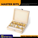 MASTER BIT MATA PROFIL ROUTER 6-SHANK 12PCS SAND BLOWING SET WITH BOX